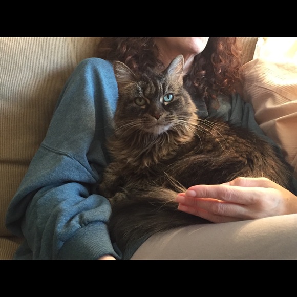 Meet your Posher, SSP - Picture 6 of 8